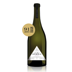 Vino ALMA GEMELA Bonarda Botella 750ml
